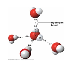 Hydrogen bond