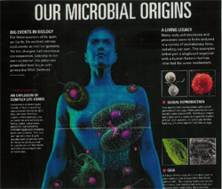 Microbial Origins